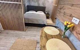 Sofia Residence Studio Cetate